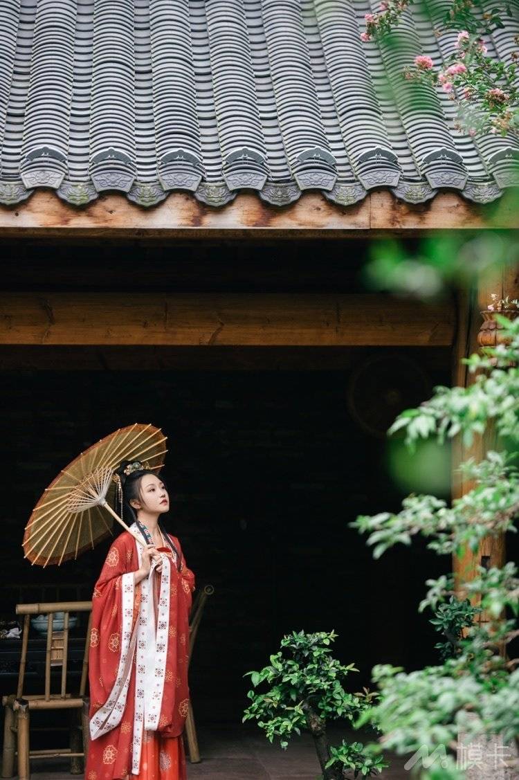 作品图片
