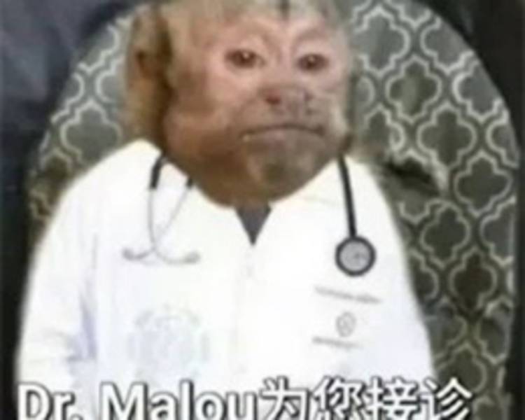 艺人背景图