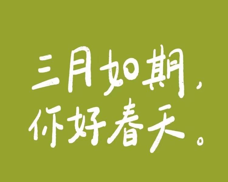 艺人背景图