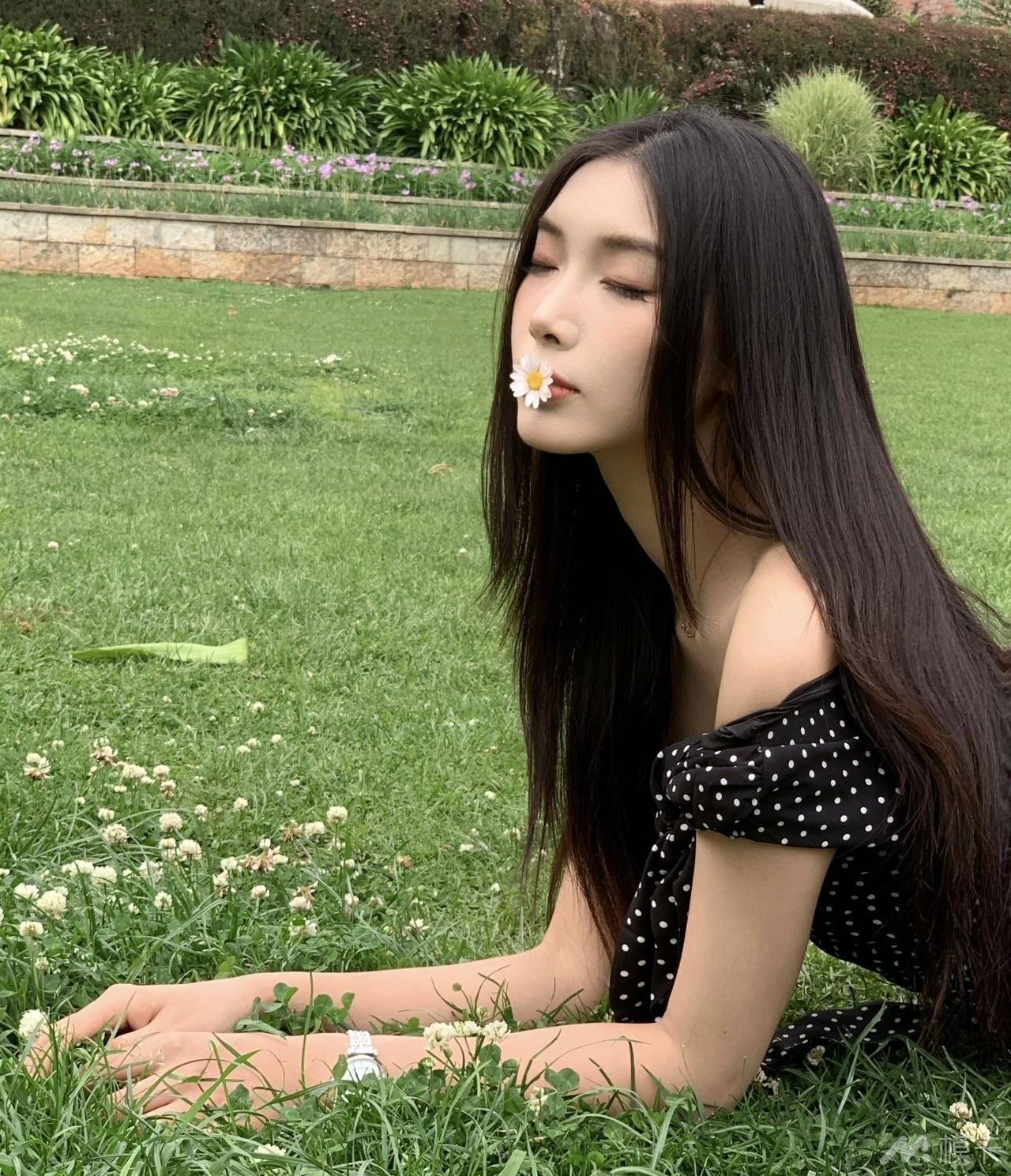 作品图片