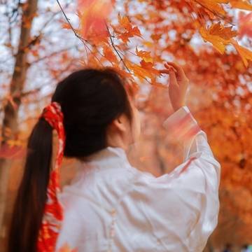 鹿溪的微模卡作品