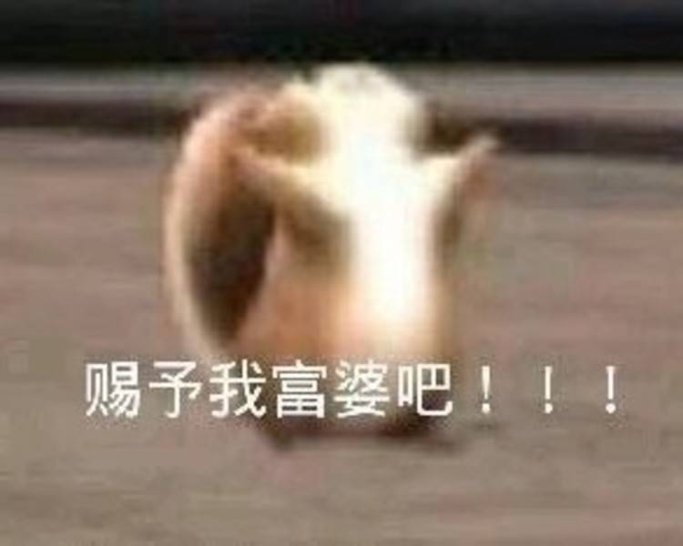艺人背景图