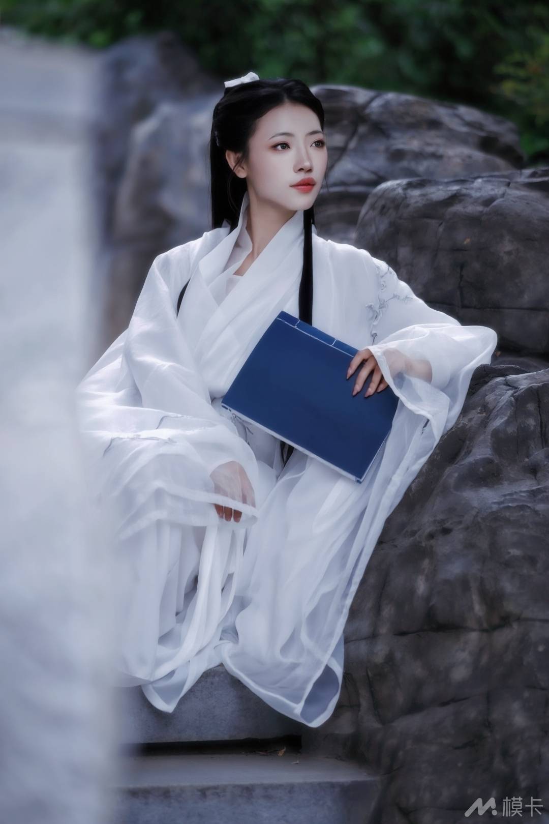 作品图片