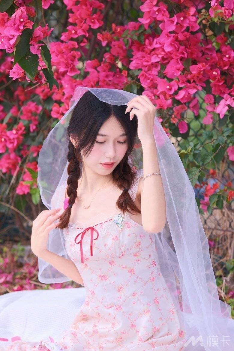 作品图片