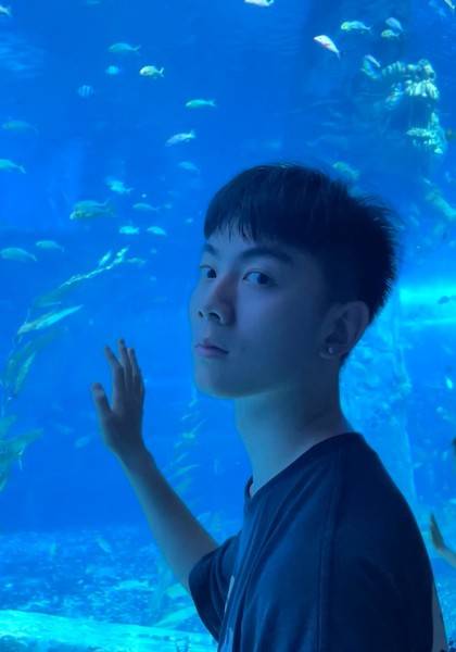 形象照片