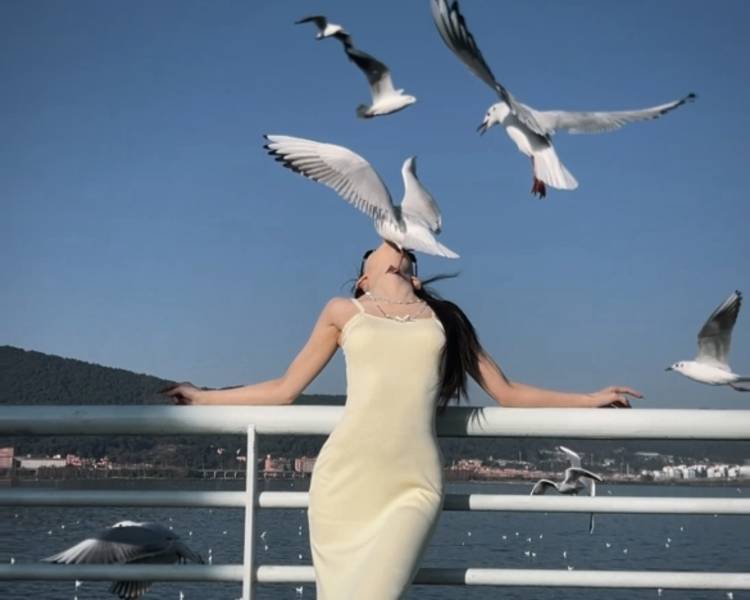 艺人背景图
