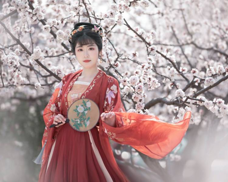 艺人背景图