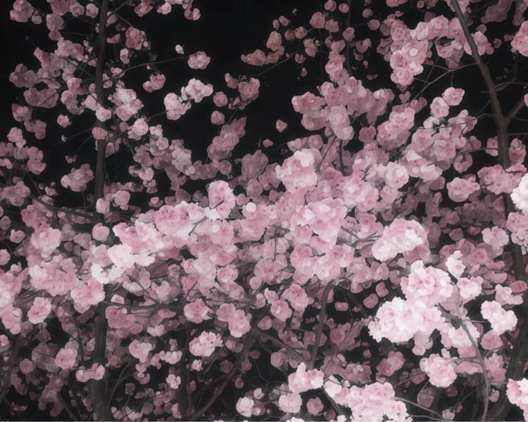 艺人背景图