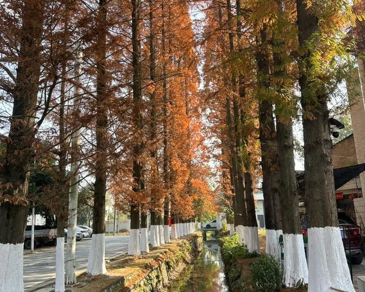 艺人背景图