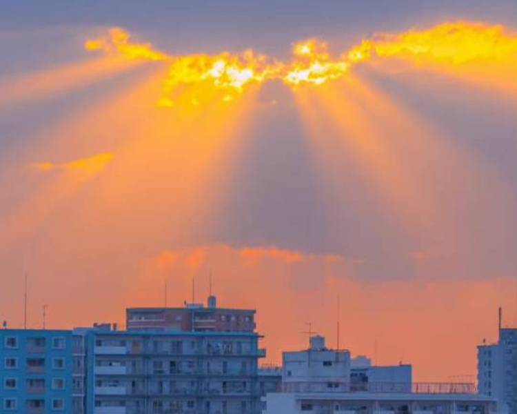 艺人背景图