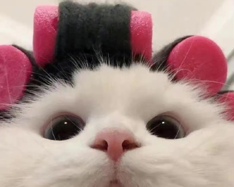 艺人背景图