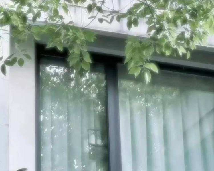 艺人背景图