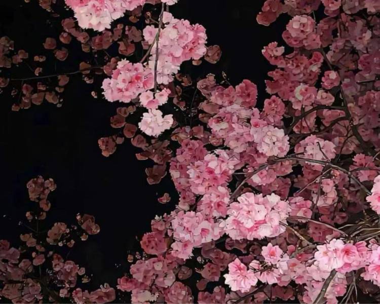 艺人背景图