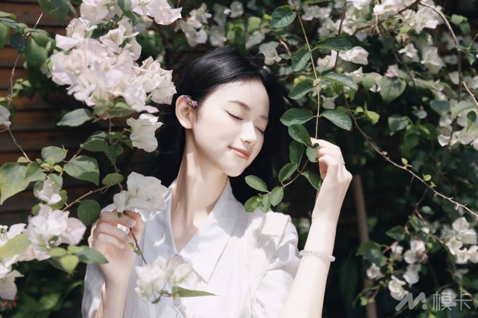 作品图片