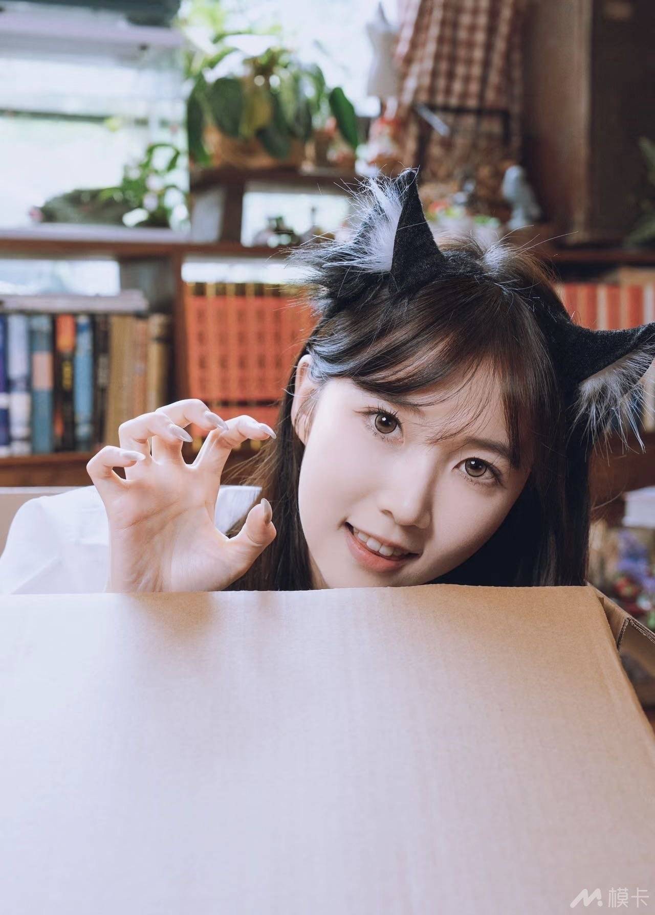 通告图片