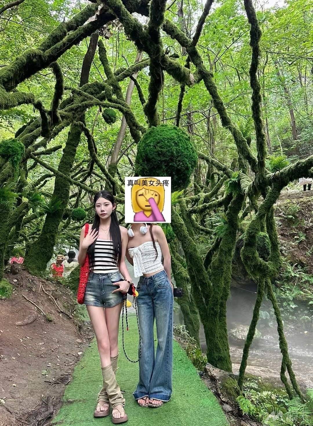 作品图片