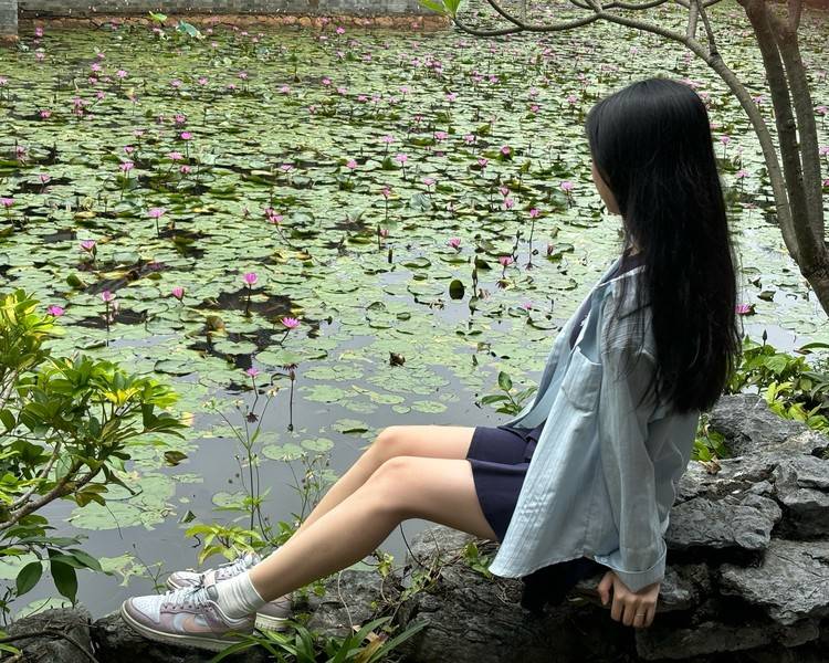 艺人背景图