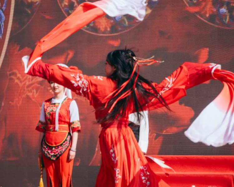 艺人背景图
