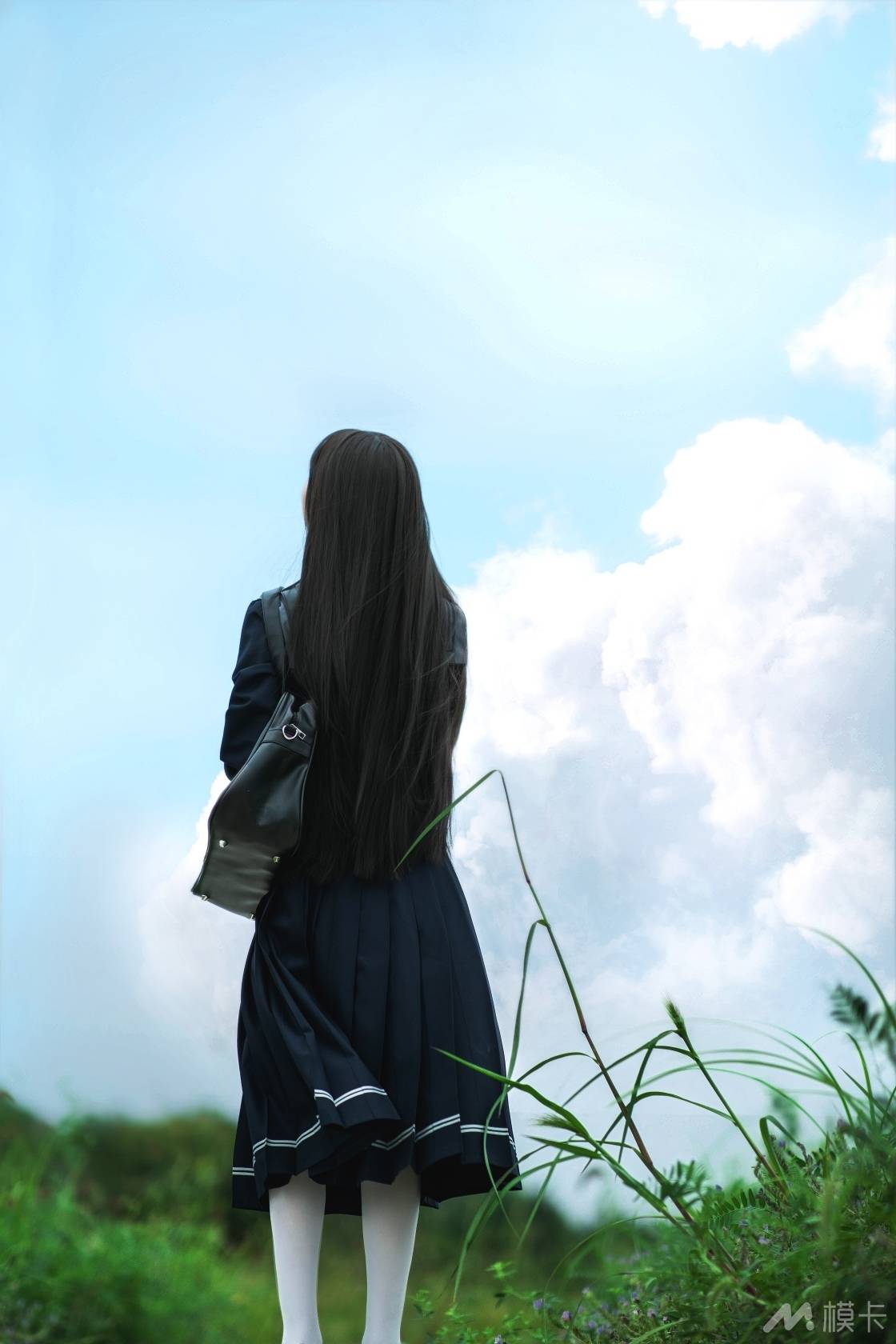 作品图片