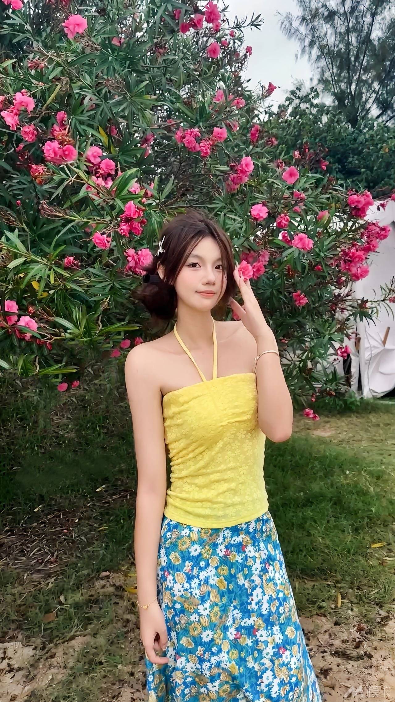 作品图片