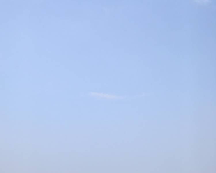 艺人背景图