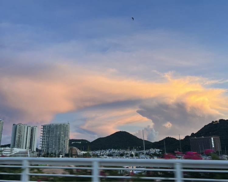 艺人背景图