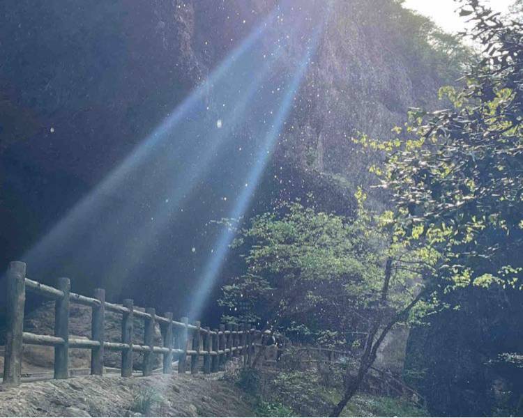 艺人背景图