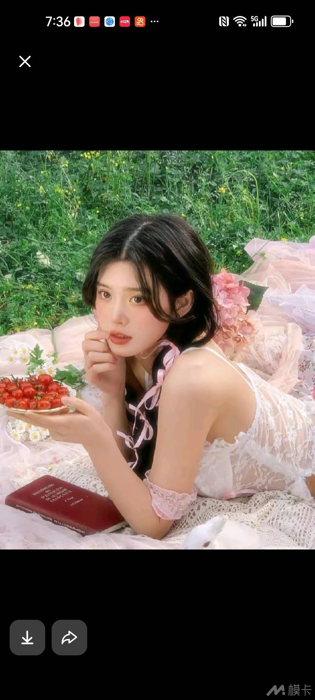 作品图片