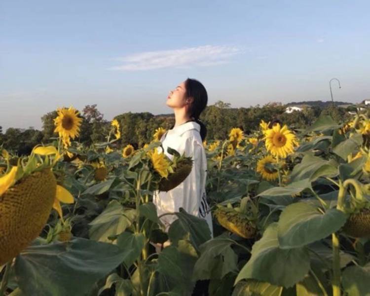 艺人背景图