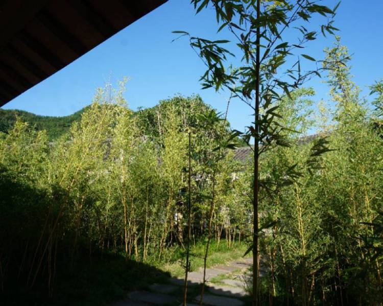 艺人背景图