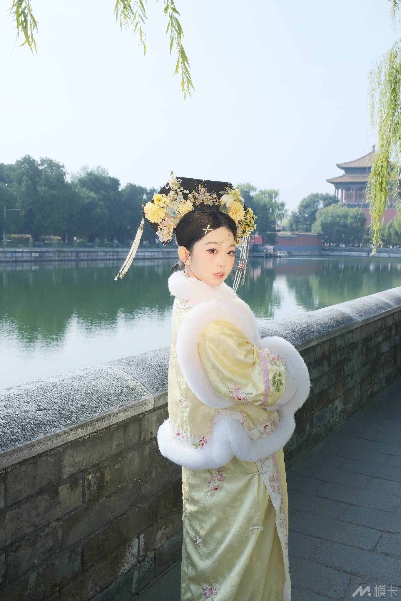 作品图片