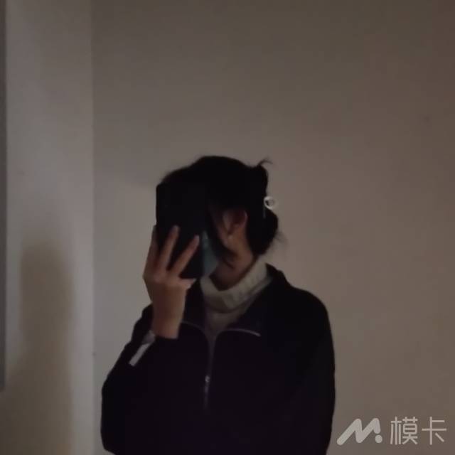 作品图片
