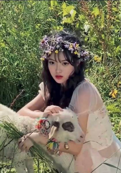 形象照片