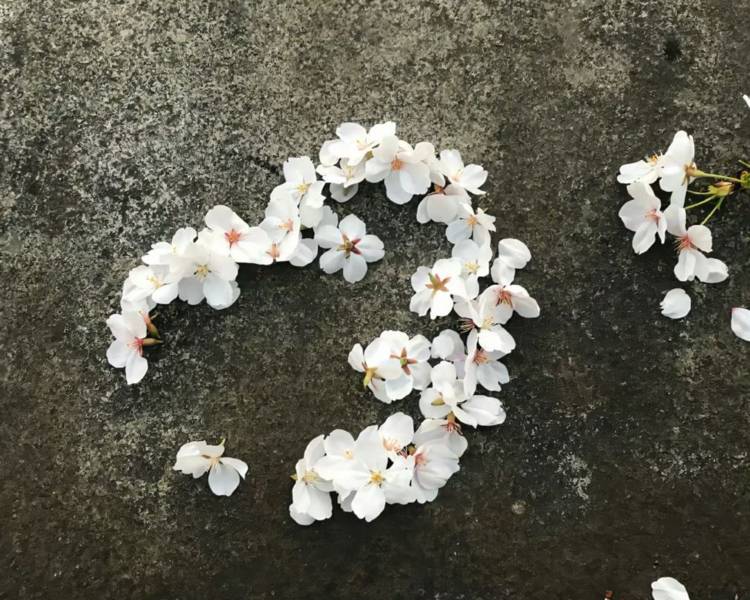 艺人背景图