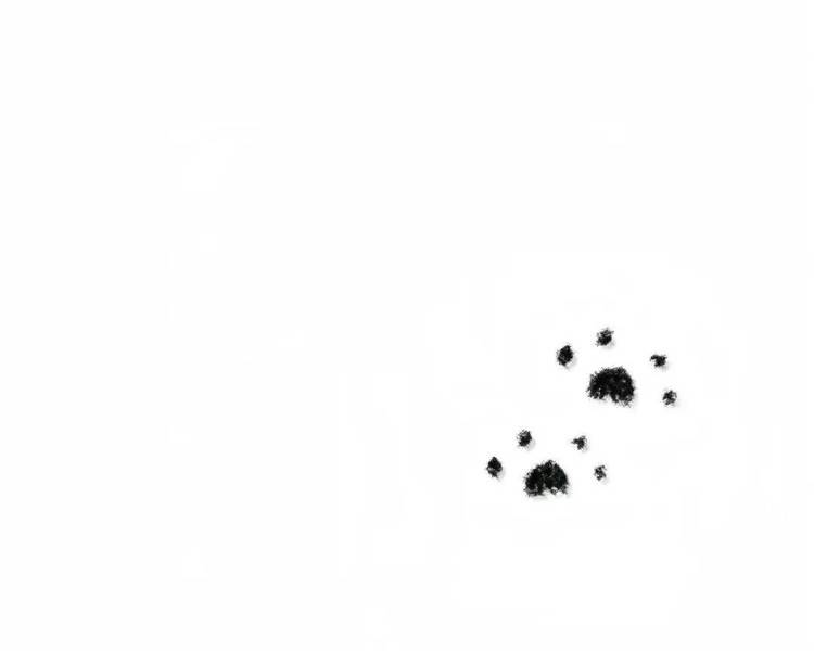 艺人背景图