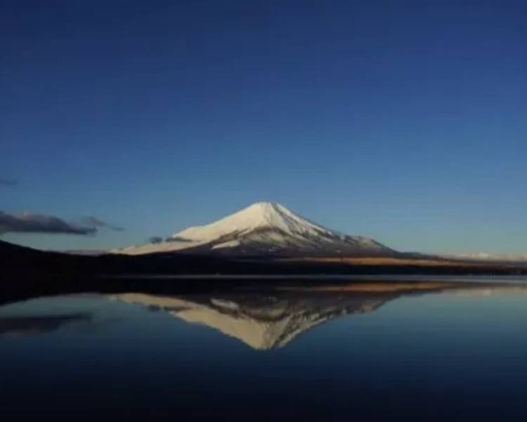 艺人背景图