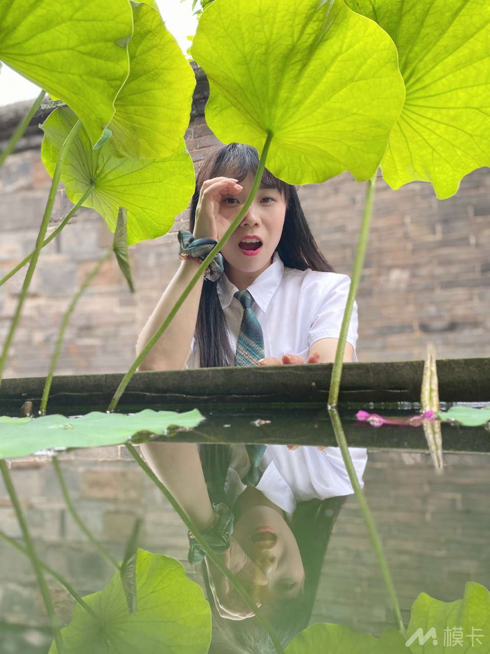 作品图片