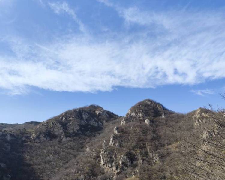 艺人背景图