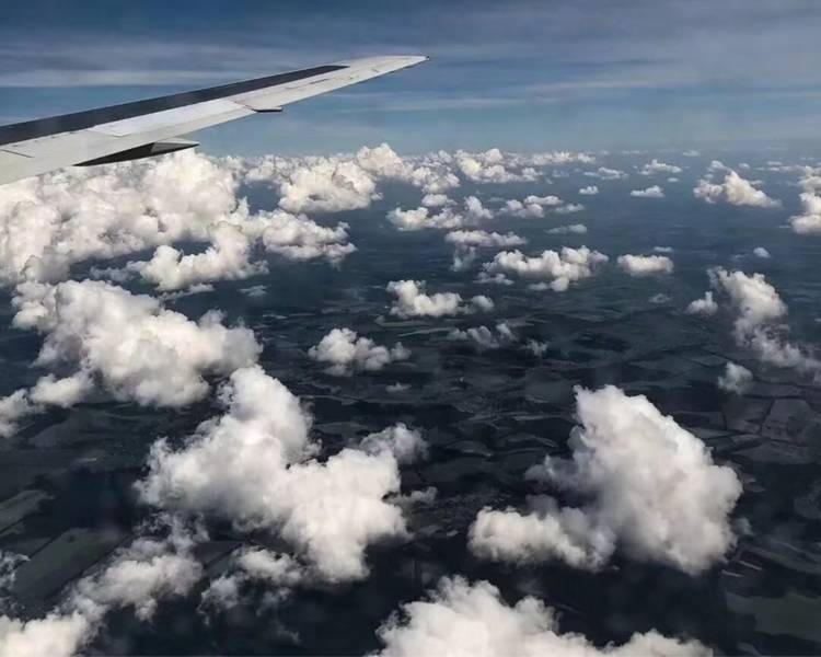 艺人背景图