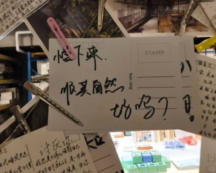 艺人背景图