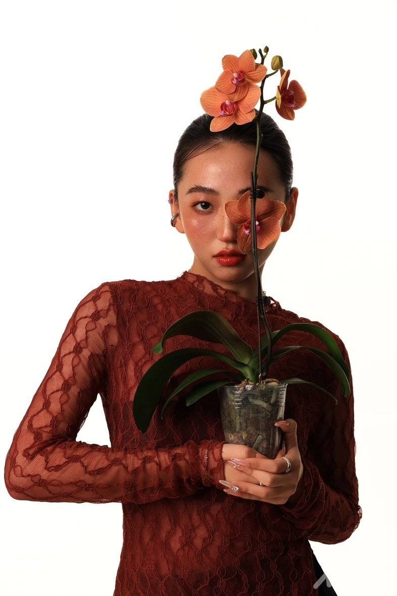作品图片