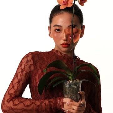 推荐作品