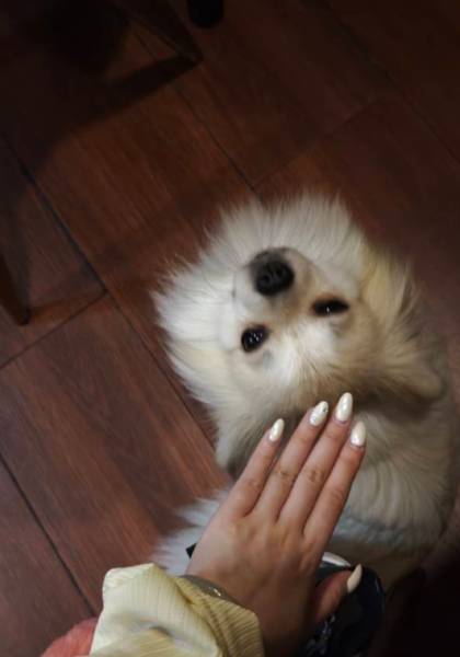 形象照片