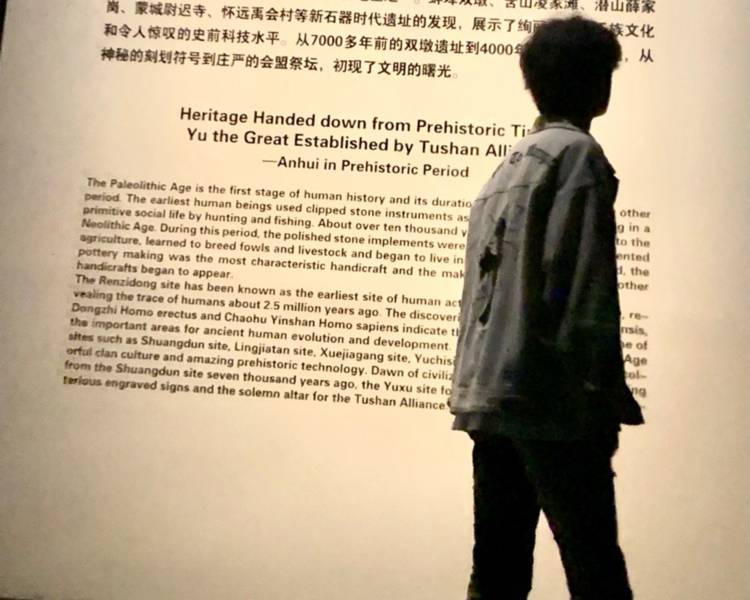 艺人背景图