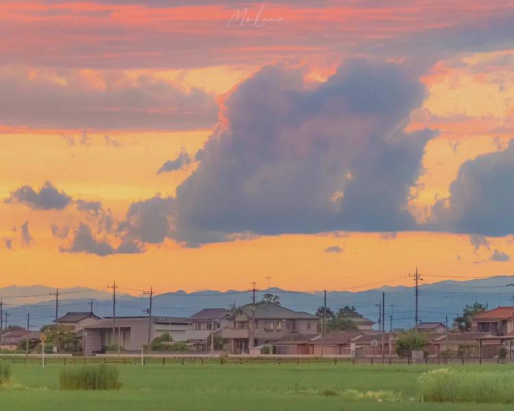 艺人背景图