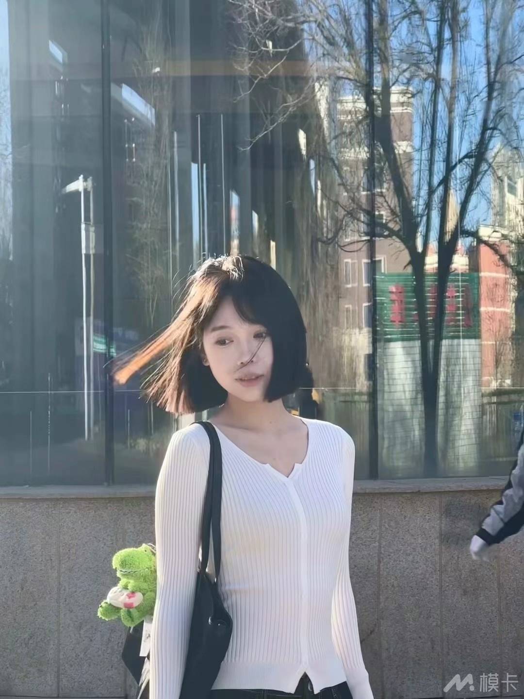通告图片
