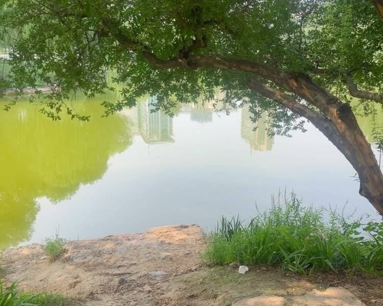 艺人背景图