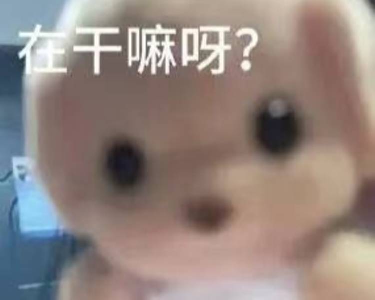 艺人背景图