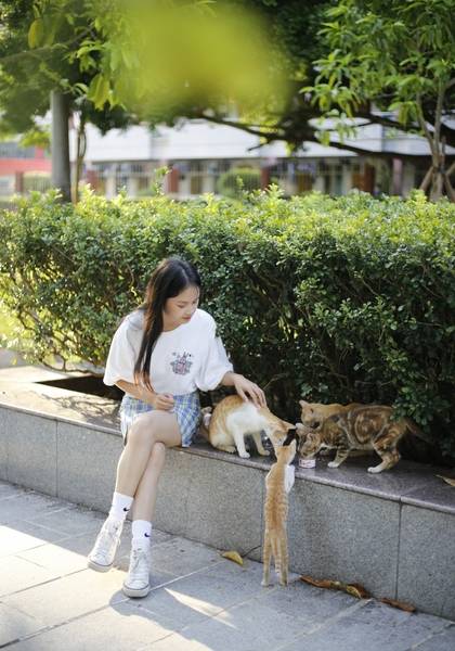 形象照片