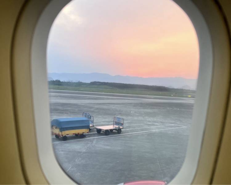 艺人背景图